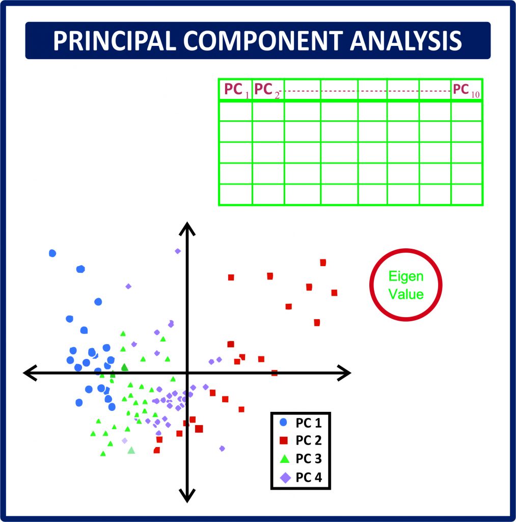 Factor Analysis And Pca – Excel Financial Website